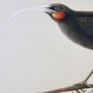 Image of Toia mai te waka