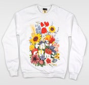 Image of Annuals / Sweatshirt
