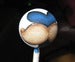 Image of Custom Balltop