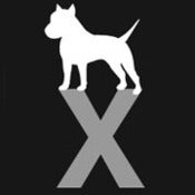 Image of PIT X