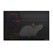Image of Transgenic