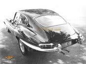Image of "What a Jag!" 20x24 print
