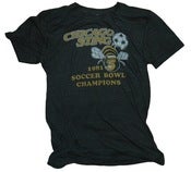 Image of Chicago Sting