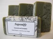 Image of Spearmint and Eucalyptus