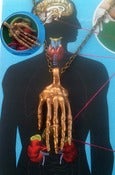 Image of Main squelette pendentif