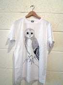 Image of Owl