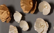 Image of Paper Flower - Poppie Collection