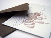 Image of Little honeybee for/from gift card and envelope