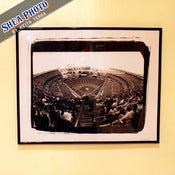 Image of Shea Stadium Photo 16x20 