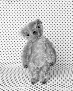 Image of MAXWELL THE LITTLE BEAR