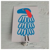 Image of fluor farm cards • set of 4