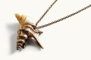 Image of Concha punk Bronze