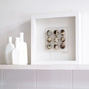 Image of Eggs Box Frame