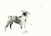 Image of Ben : Limited Edition