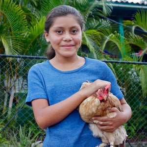 Image of Card - Chickens For A Family