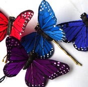 Image of Butterfly Hairclips - 7 colours available