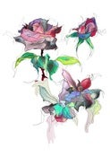 Image of Rose.