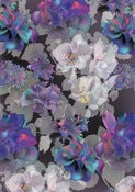 Image of Dark Orchid