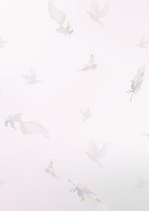 Image of Pink dove & feather