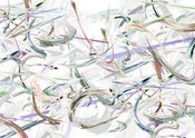 Image of Whitney Eve Spring 12 - Swoosh