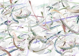 Image of Whitney Eve Spring 12 - Swoosh