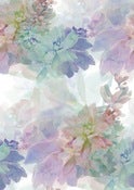 Image of Whitney Eve Spring 12 - Pastel Floral