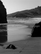 Image of Footprint - 5x7 Photographic Print