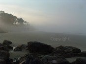 Image of Misty Morning -- 8x10 Photograph