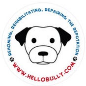 Image of Hello Bully Magnet