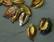 Image of Perforated Leaves