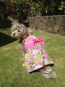 Image of Kimono (Bow) - B34 - Multi Dragonfly