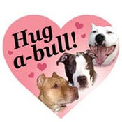 Image of Hug-A-Bull Car Magnet