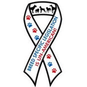 Image of BSL is UNAMERICAN Ribbon Car Magnet