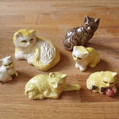 Image of Box of Cats