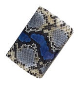 Image of Blue and Brown Painted Python
