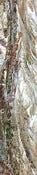 Image of Jin Jiang Joy Silk Scarf, 'Plant Dreams', (14" x 72")