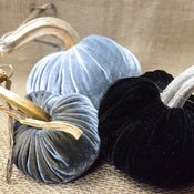 Image of Velvet Plush Pumpkin Elegant Holiday Trio
