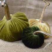 Image of Velvet Plush Pumpkin Holiday Greens Trio