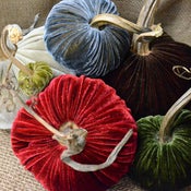 Image of Velvet Plush Pumpkin Classic Holiday Large Set