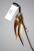 Image of Plumes Natural 1