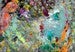 Image of Orange and Aqua 