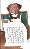 Image of Snoozer Loser X Project Pet Limited Edition Pitbull Tote