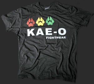 Fightwear 3-Paws Men's Tri-Blend Tee - Charcoal
