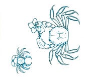Image of Original Art: Chinese Mitten Crabs