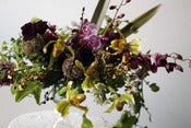 Image of Ode to Orchids - February 11th
