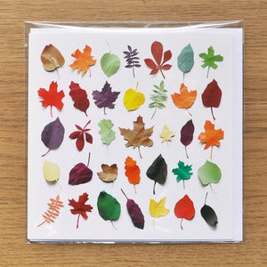 Image of 2 Abscission Greeting Cards