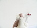 Image of swan