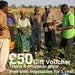 Image of £50 Give-a-Gift Card & Voucher: Trains 4 people to grow their own vegetables on a 1 year course