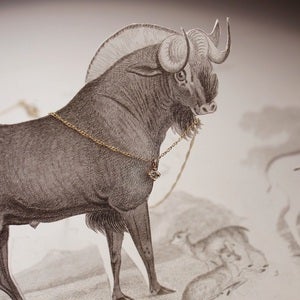 Image of 'little diamond' necklace