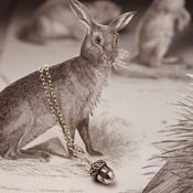 Image of 'mighty oaks' tiny acorn necklace